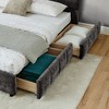 GDFStudio Abbott Queen Size Tufted Chenille Upholstered Bed with Drawer and Headboard - 3 of 4