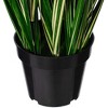 Green Evergold Grass Potted UV - 3 of 4