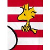 Intimo Peanuts Joe Cool Snoopy Woodstock Flag Plush Fleece Throw Blanket Wall Scroll Multicoloured - 3 of 3