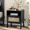 Angel Sar Natural Rattan Nightstands Set of 2, Accent End Table, Boho Bedside Table with 1 Hand Made Decorated Door for Living Room, Bedroom, Black - 2 of 4
