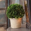 Plum & Post Boxwood 8" Faux (Fake) Ball In Pot - 2 of 4