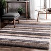 Nuloom Drey Striped Shag Indoor Area Rug - 2 of 4