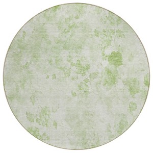 Green And Ivory Floral Washable Indoor Outdoor Area Rug - 1 of 4