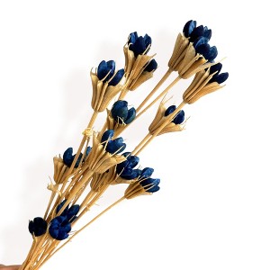Alilang Decorative Dried Flower Stems for Home Decoration and Floral Arrangements, 15.5 Inches - 1 of 3