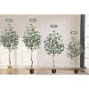 Eucalyptus Tree Artificial 4/5/6ft, Faux Eucalyptus Tree with Silver Dollar Leaves, Home Office Decor Indoor - 2 of 4