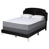 Baxton Studio Oxley Traditional Glam and Luxe Black Velvet and Gold Metal Queen Size Panel Bed - 2 of 4