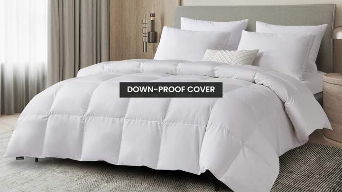 All Seasons Cotton Blend Down Fiber Comforter - Beautyrest, 2 of 7, play video