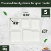 5 Compartment Square Biodegradable Divided Plates - Pack of 125 - Rani Brand Authentic Indian Products - 2 of 4