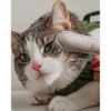 Dexypaws: Eyes, Ears & Nose Finger Wipes - Cat - 100ct Soft Cleansing Wipes - 2 of 4