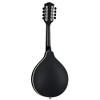 Luna Moonbird A-Style Mandolin Satin Black - 4 of 4