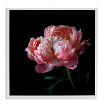 Stupell Industries Dark Rose Photography, 17" x 17"