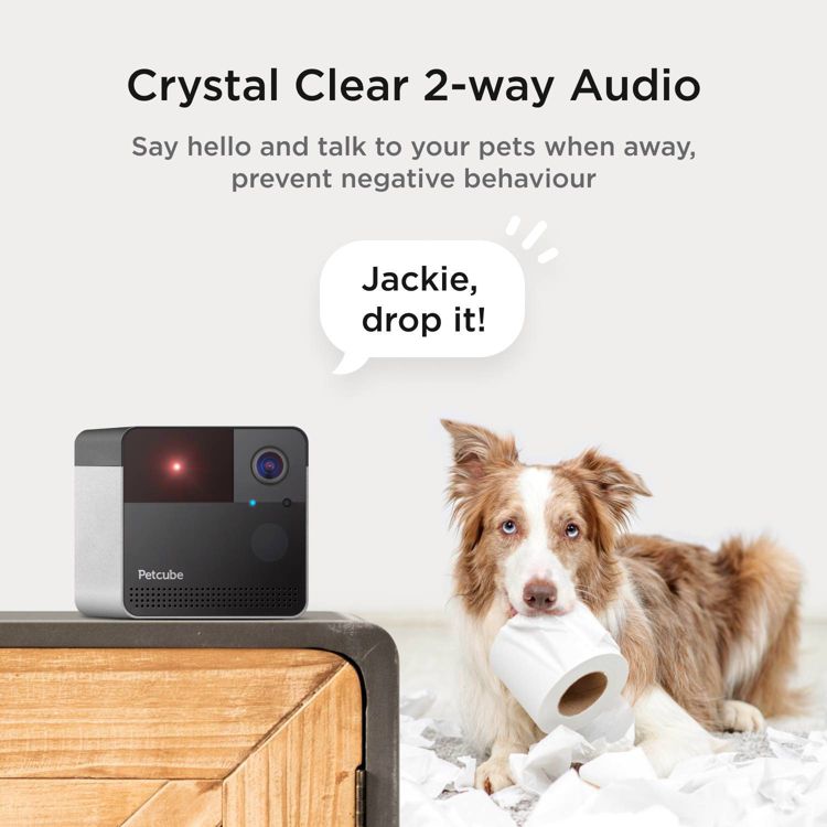 Petcube Play 2 Wi-Fi Pet Camera with Laser Toy for Cats & Dogs: Indoor Camera, Night Vision, 6 of 6