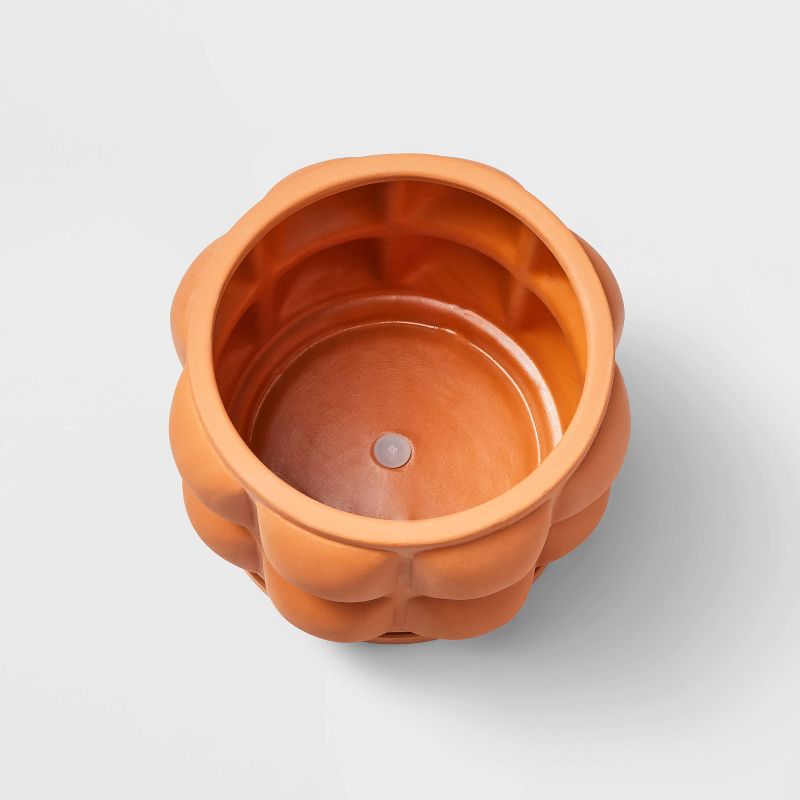 Hilton Carter for Target Terracotta Embossed Ceramic Indoor Outdoor Planter Pot Orange, 4 of 5
