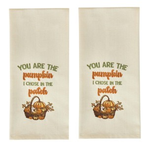 Park Designs You Are The Pumpkin Dishtowel Set Of 2 - 1 of 4