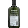 Avalon Organics Smooth Shine Apple Cider Vinegar Shampoo Step 1 - 11 oz - 2 of 4