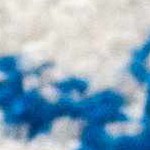 light gray, navy , medium gray, gray