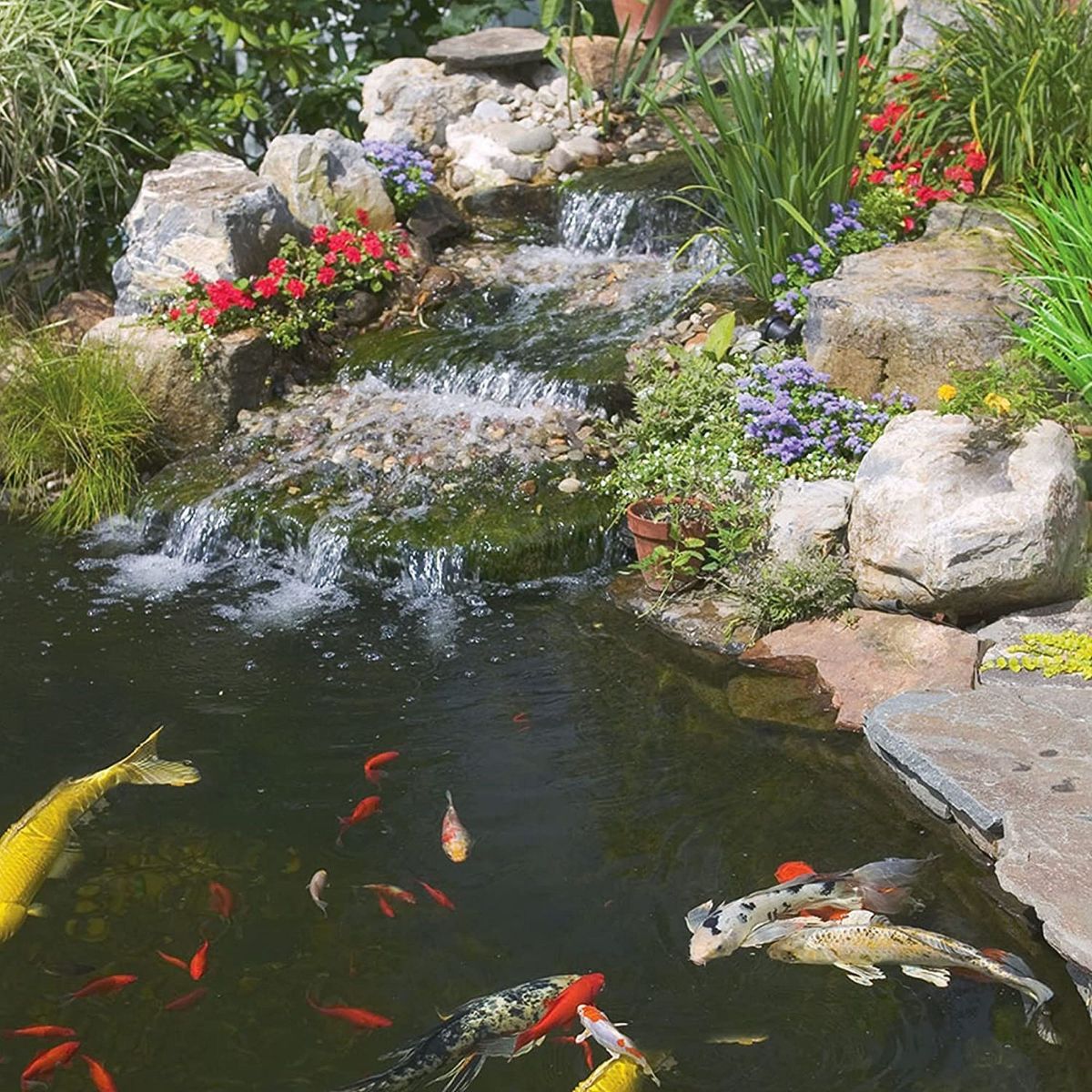 TetraPond Pond Sticks Fish Food for Goldfish and Koi, 1.72lbs - thumbnail 5