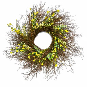 24" Spring Yellow Forsythia Wreath - National Tree Company - 1 of 3