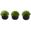 Gulches 5in Artificial Grass Tree in Black Pot Set of 3 Green Indoor Faux Plants for Tabletop Desk Shelf Decorative Greenery - 2 of 4