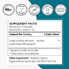 SuperSmart Super Gingerols 400mg per Day (High Potency 20% Gingerol) - Ginger Root Extract Supplement | Non-GMO & Gluten Free - 60 Vegetarian Capsules - 4 of 4