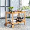 Bavier Outdoor Acacia Wood Two Tier Bar Cart with Bottle Holders Teak/Black - Christopher Knight Home - 4 of 4