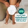 bumbum Luxury Skincare Disposable Diapers - (Select Size and Count) - 4 of 4