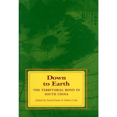 Down to Earth - by David Faure & Helen F Siu