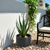 Anybear 15.5x12in Black Round Steel Raised Garden Bed - 2 of 4