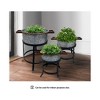 Royal Hampton 3 Piece Round Metal Galvanized Tub with Iron Stand Planter Set, 21, 18, and 16 Inch - 2 of 4