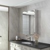 Lirago Bathroom Vanities Surface-mounted/Recessed Mirror Cabinet with Mirror with Adjustable Shelf 26*20 Black - 2 of 4