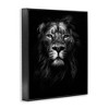 Stupell Industries Lion In Shadows Photography Framed Giclee Art, Black, 16" x 20" - 2 of 4