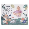 Disney Bambi White and Green Little Treasure Super Soft Photo Op Milestone Baby Blanket - 2 of 4