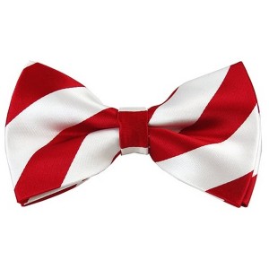 Men's 2.75 W And 4.75 L Inch With Pre-Tied College Stripe Bowtie - 1 of 3