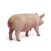 Breyer Animal Creations CollectA Farm Life Collection Miniature Figure | Sow - 3 of 4