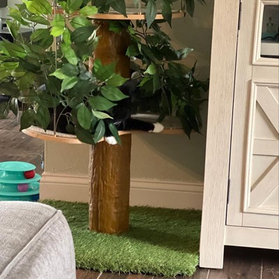 On2pets Square Cat Tree - Medium - Green : Target