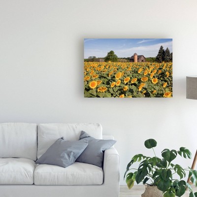 12" x 19" Sunflowers And Barn Owosso Mi by Monte Nagler - Trademark Fine Art