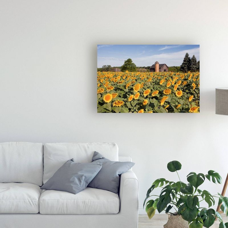 12&#34; x 19&#34; Sunflowers And Barn Owosso Mi by Monte Nagler - Trademark Fine Art, 1 of 5