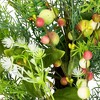Northlight Berry and Crabapple Fern Foliage Spring Wreath - 22" - 4 of 4