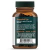 Gaia Herbs Berberine & Milk Thistle – Vegan, non-GMO capsules for metabolic & liver support with berberine, milk thistle & ginger. 60 caps. - 4 of 4