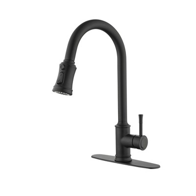 Munora Single Handle High Arc Pull Out Kitchen Faucet with Pull Down Sprayer, Stainless Steel