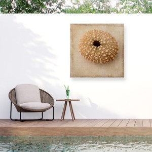 "Sepia Shell Iii" Outdoor Canvas - 1 of 4