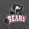 Lenoir-Rhyne University Official Distressed Primary Logo Adult Pull-Over Hoodie - 2 of 4