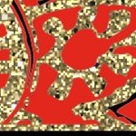 texas tech red raiders