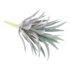 Unique Bargains Small Unpotted Realistic Textured Decoration Artificial Succulent Plants - 3 of 4