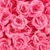 Bright Creations 50 Pack Artificial Fake Silk Rose Flower Heads for Wedding Decoration, Bridal Bouquet, Home Decor and Crafts – Rose Pink - 4 of 4