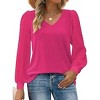 Zeagoo Women's Blouses Dressy Casual V Neck Top Swiss Dot Balloon Long Sleeve Shirts - 4 of 4