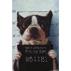 Trends International Lucia Heffernan Art - Boston Mug Shot Unframed Wall Poster Prints - 4 of 4