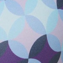 plum burst geo