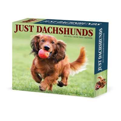 2022 Box Calendar Just Dachshunds - Willow Creek Press