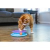Catstages Race N' Chase Track Cat Teaser Toy - 3 of 4